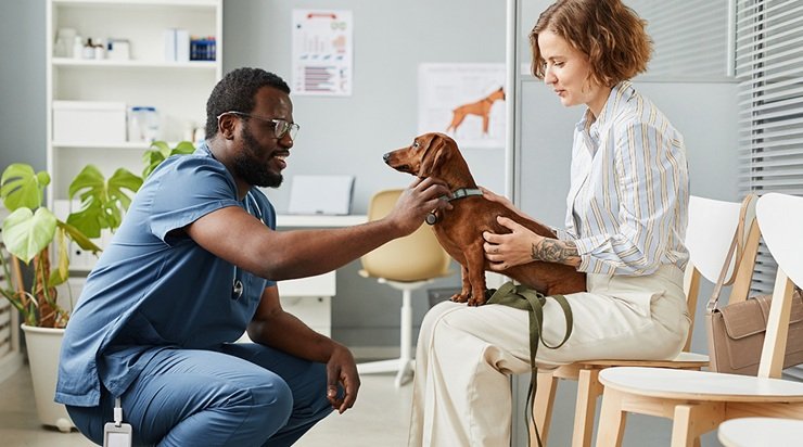 How Animal Hospitals Partner With Pet Owners For Better Health Outcomes