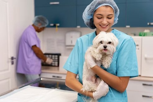 How Animal Hospitals Help Pets Live Longer, Healthier Lives