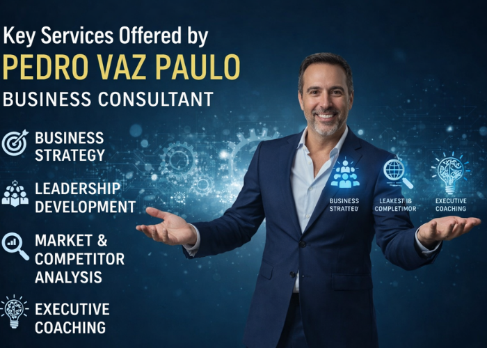 Key Services Offered by PedroVazPaulo Business Consultant